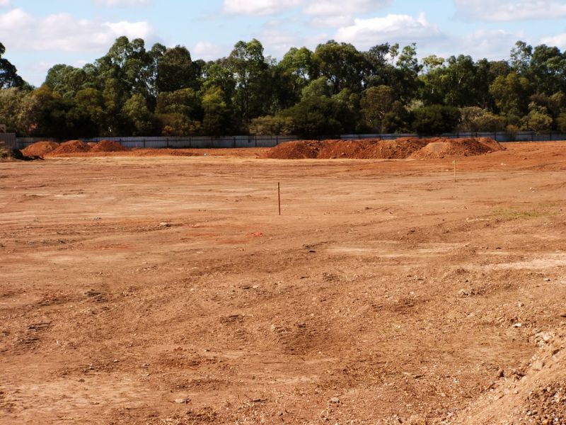 Finished Boundary with Landscaping