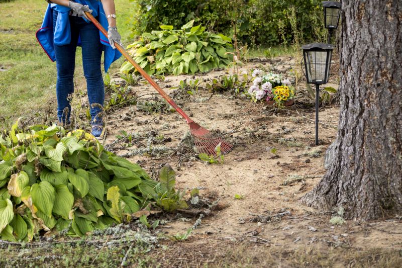 Local Property Line Clearing pros at work